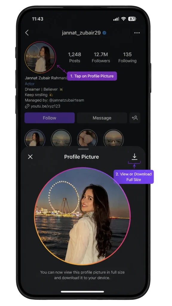 InstaPro3 APK Download V15.70 (Latest Version 2026) For Android 4 Full-Size Profile Picture insta pro 3